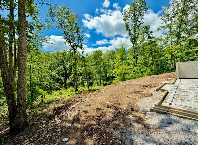 view of yard featuring a view of trees