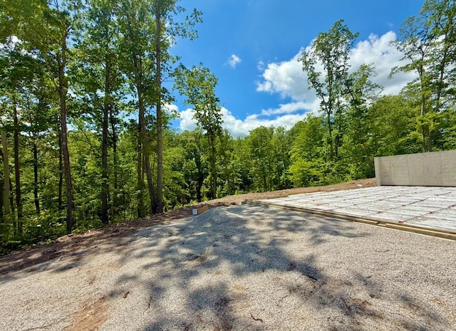 view of street with a view of trees