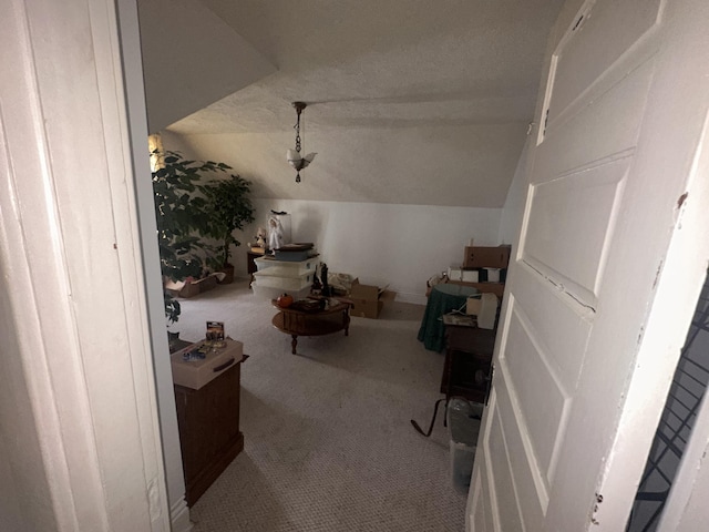 additional living space with lofted ceiling, carpet flooring, and a textured ceiling