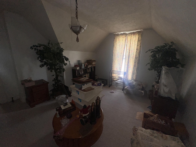 additional living space with vaulted ceiling, carpet, and a textured ceiling