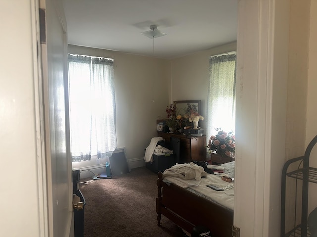 bedroom with carpet floors