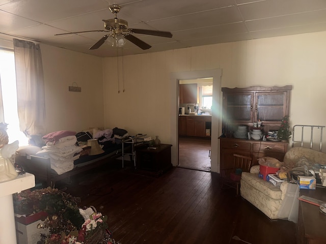 living room with ceiling fan and wood-type flooring