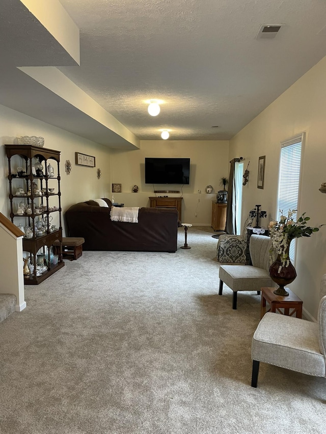1166 Devane Ln, Frankfort, KY 40601 - living area featuring carpet floors and a textured ceiling