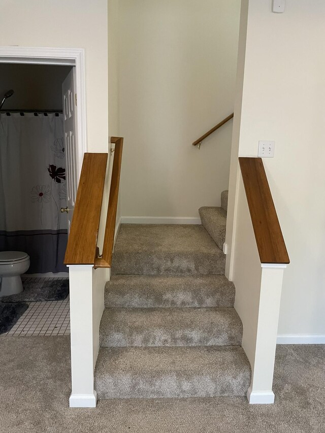 1166 Devane Ln, Frankfort, KY 40601 - stairway featuring carpet floors and baseboards