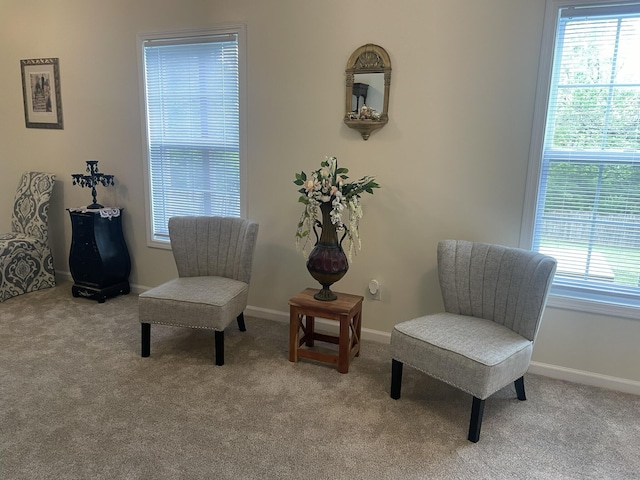 1166 Devane Ln, Frankfort, KY 40601 - living area featuring carpet flooring and baseboards