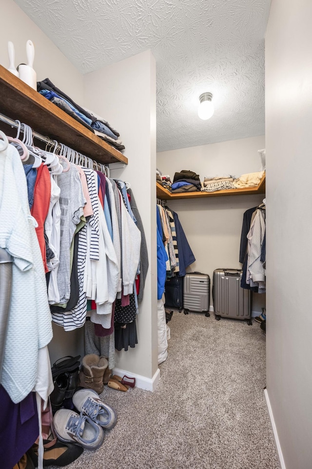 2912 Jason Ct, Lexington, KY 40503 - walk in closet featuring carpet