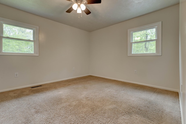 246 Pottersville Rd, Means, KY 40346 - carpeted spare room featuring healthy amount of natural light, baseboards, and ceiling fan