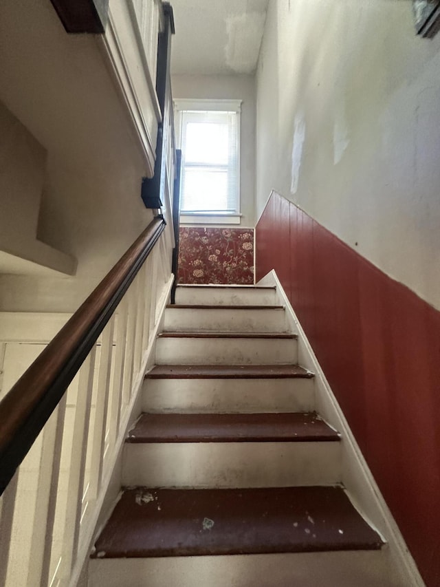 staircase featuring a wainscoted wall