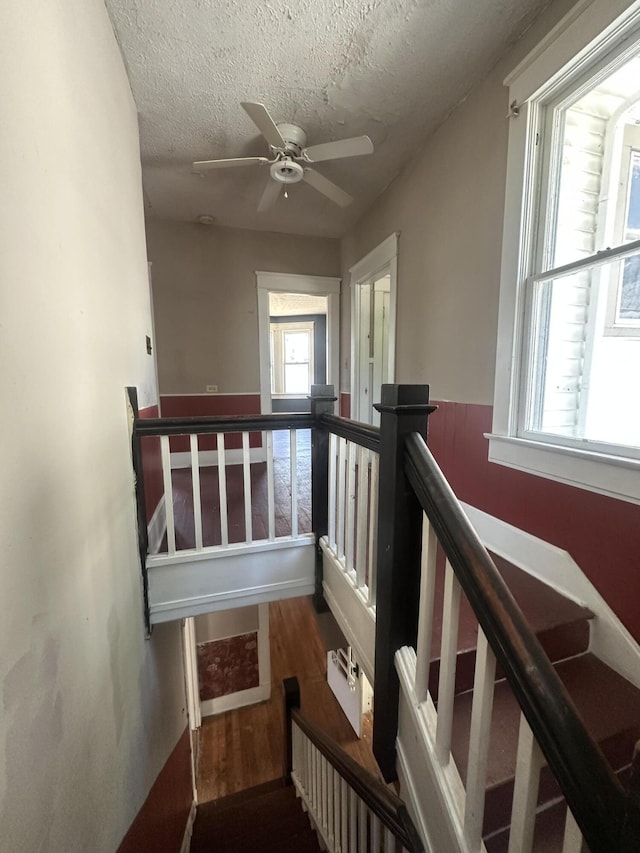 staircase with wood finished floors, plenty of natural light, a textured ceiling, and ceiling fan
