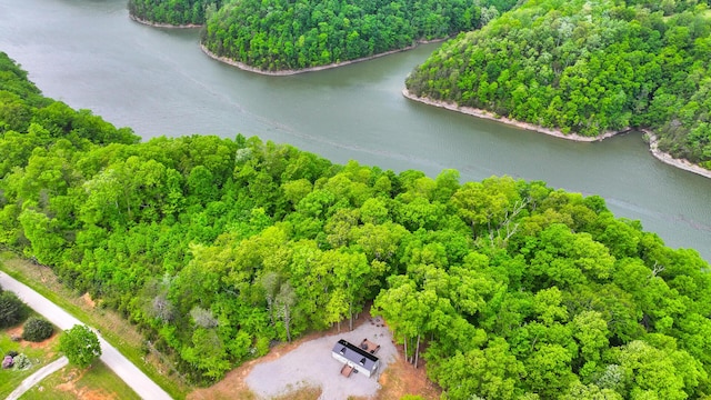 drone / aerial view with a water view and a view of trees