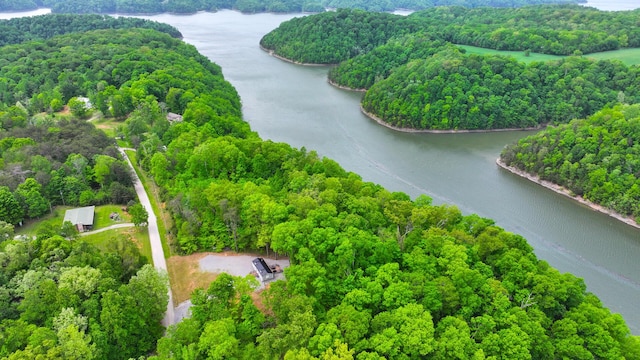 bird's eye view featuring a water view and a forest view