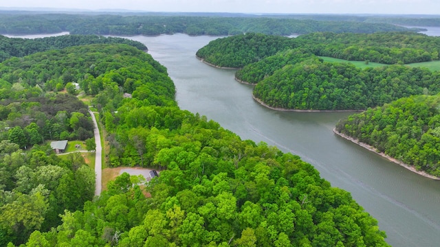 aerial view with a water view and a view of trees