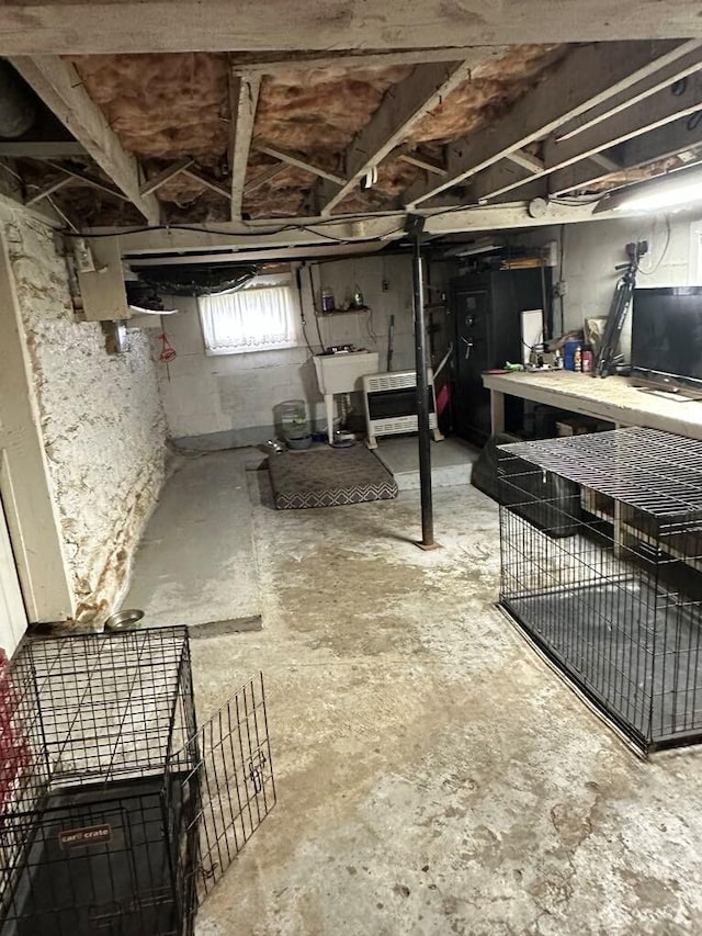 225 Mt Sterling Ave, Flemingsburg, KY 41041 - basement with a sink