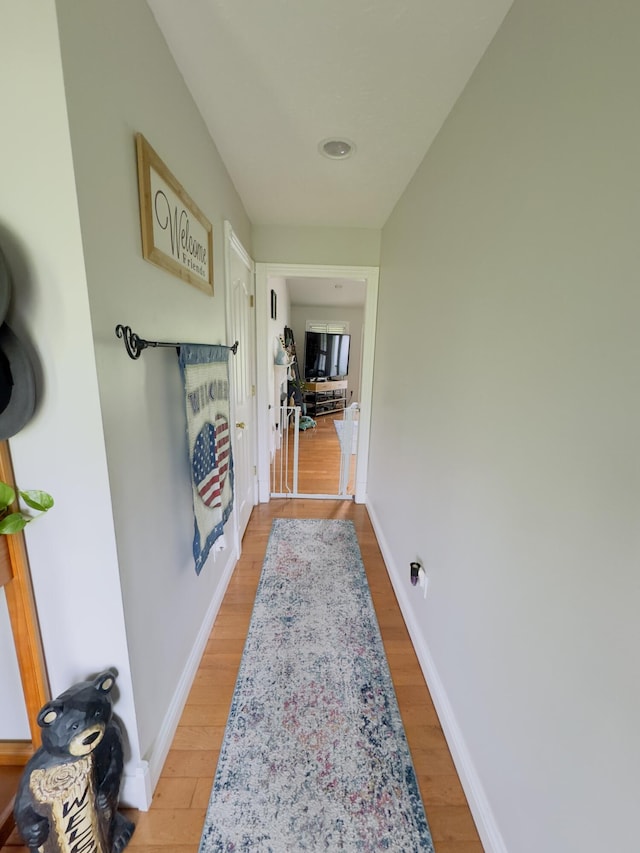 100 Dillon Ct, Berea, KY 40403 - hallway with light wood-style flooring and baseboards