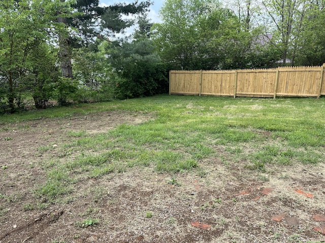 211 S Alta Ave, Danville, KY 40422 - view of yard