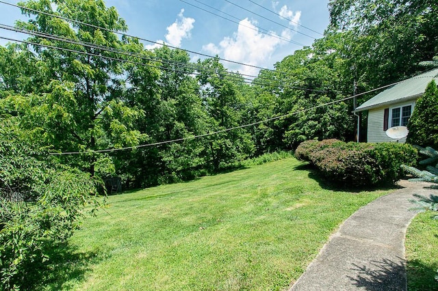 2000 Bald Knob Rd, Frankfort, KY 40601 - view of green lawn