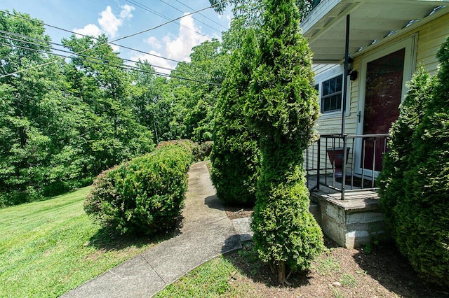 2000 Bald Knob Rd, Frankfort, KY 40601 - view of grassy yard