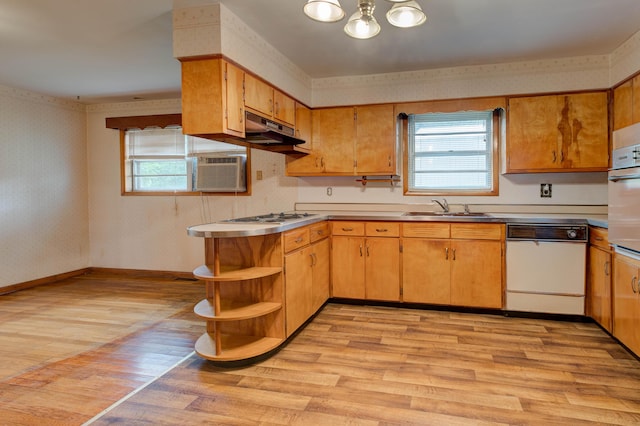 kitchen featuring a sink, open shelves, white appliances, under cabinet range hood, and light wood-style floors