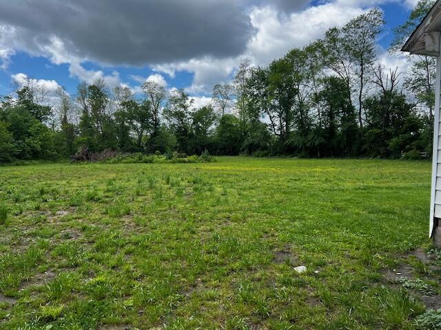 130 Trisler Ln, Junction City, KY 40440 - view of yard