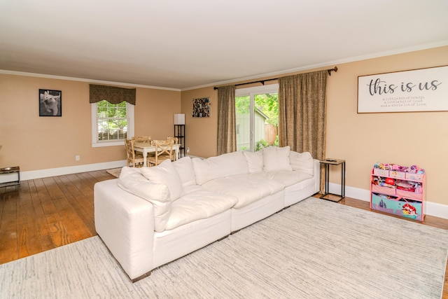 living area featuring wood finished floors, crown molding, and baseboards