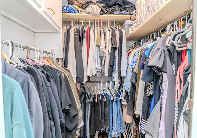 view of walk in closet