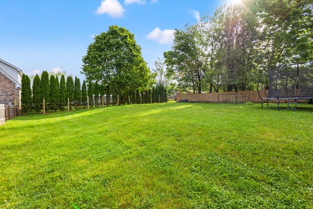 view of yard with a trampoline