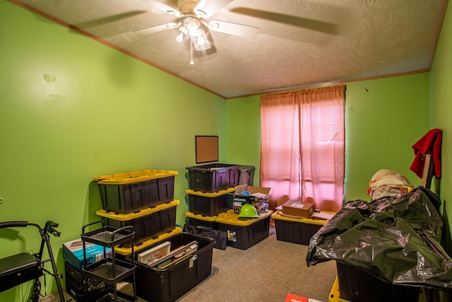787 Wise Owl Rd, Keavy, KY 40737 - playroom featuring carpet, a textured ceiling, and ceiling fan