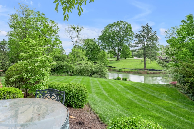 1775 Mooreland Dr, Lexington, KY 40502 - view of green lawn with a water view and view of golf course