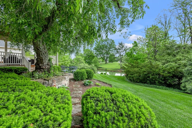 1775 Mooreland Dr, Lexington, KY 40502 - view of green lawn with a water view