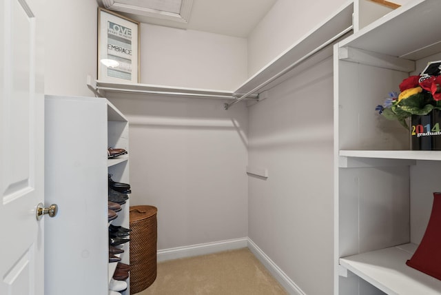 129 Adams Ln, Richmond, KY 40475 - walk in closet featuring carpet and attic access
