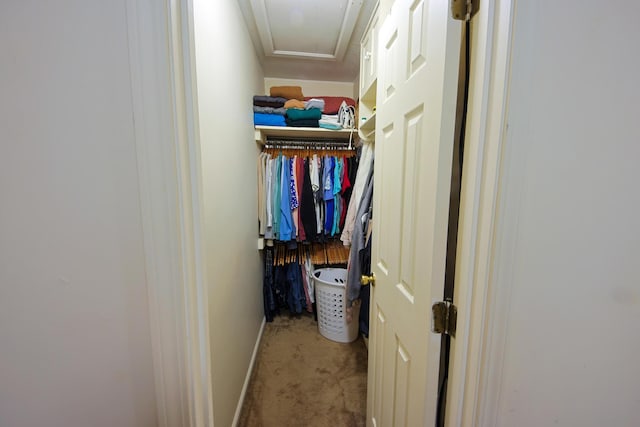walk in closet featuring carpet flooring