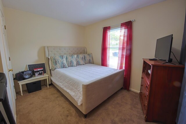 bedroom with carpet flooring