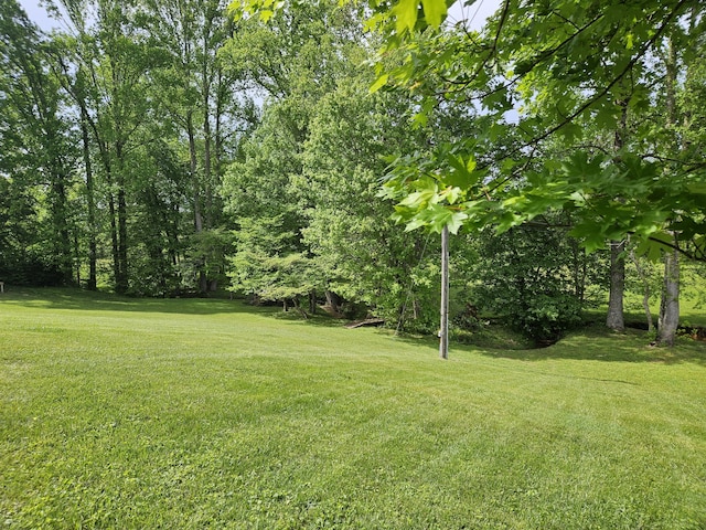 view of grassy yard