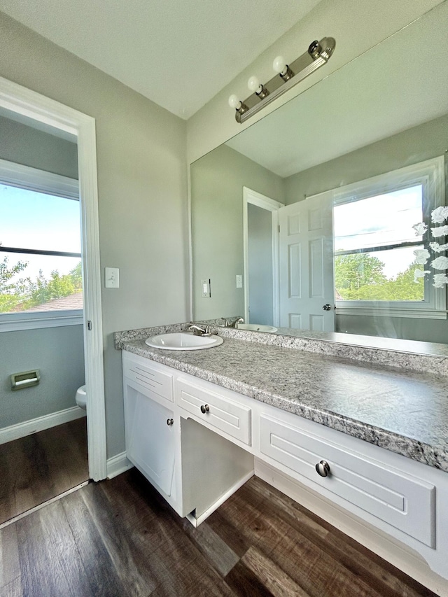 500 Meadowlark Dr, Somerset, KY 42503 - bathroom featuring vanity, toilet, plenty of natural light, and wood finished floors