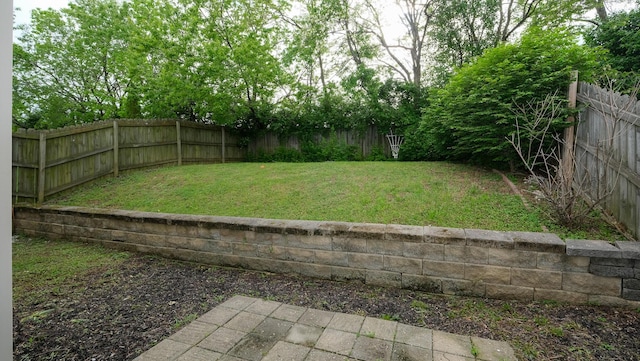 2204 Market Garden Ln, Lexington, KY 40509 - view of yard