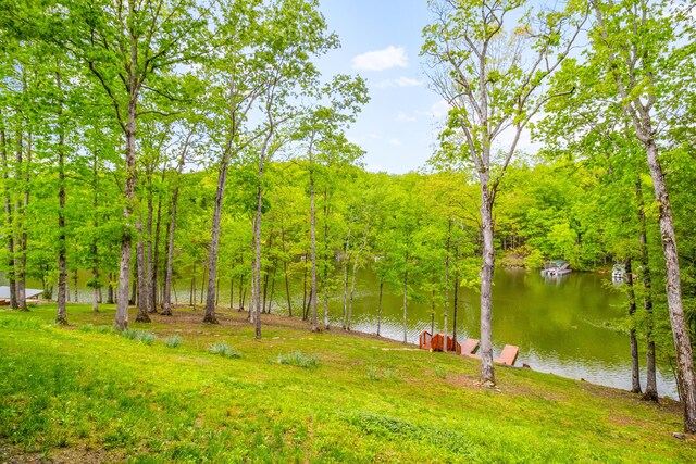 1117 Cliffs Edge Rd, East Bernstadt, KY 40729 - view of yard featuring a water view and a wooded view