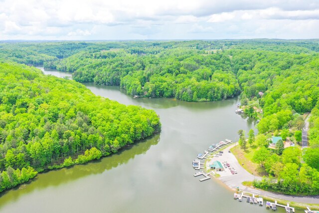 1117 Cliffs Edge Rd, East Bernstadt, KY 40729 - drone / aerial view of a forest and a nearby body of water