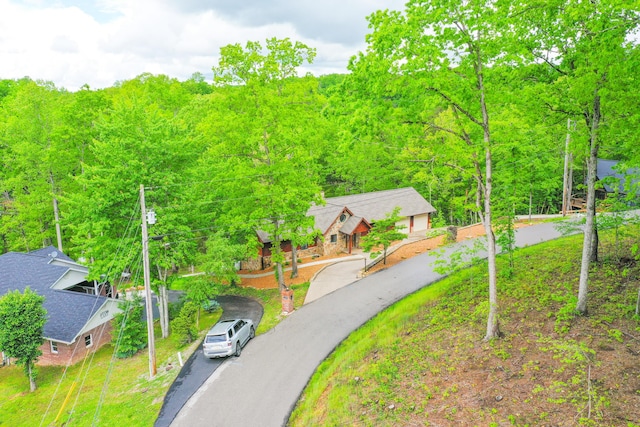 1117 Cliffs Edge Rd, East Bernstadt, KY 40729 - drone / aerial view of a forest