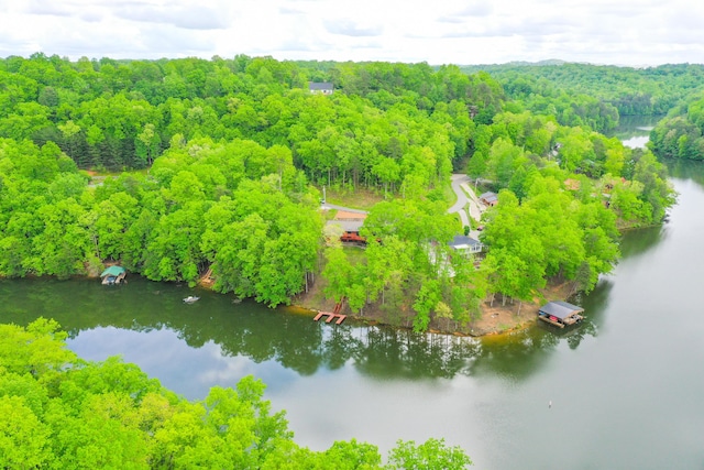 1117 Cliffs Edge Rd, East Bernstadt, KY 40729 - drone / aerial view of a heavily wooded area and a nearby body of water