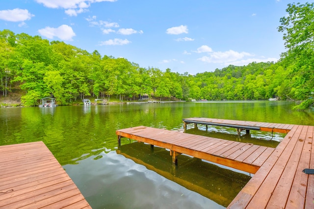 1117 Cliffs Edge Rd, East Bernstadt, KY 40729 - dock featuring a water view and a forest view