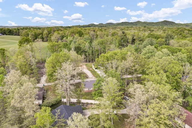 324 Circle Dr, Morehead, KY 40351 - bird's eye view of a heavily wooded area