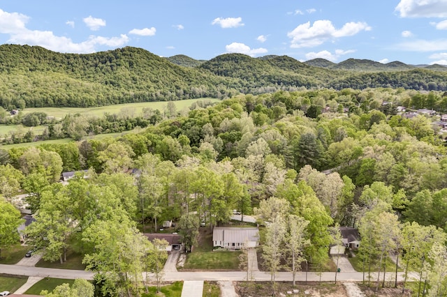 324 Circle Dr, Morehead, KY 40351 - bird's eye view of a forest and a mountainous background