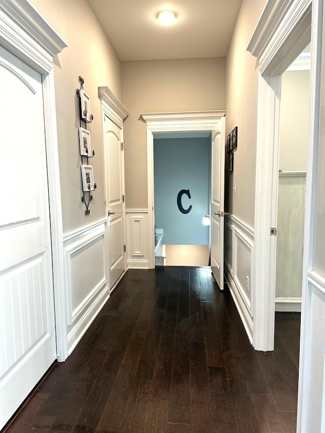 corridor with a wainscoted wall, a decorative wall, and dark wood-style flooring