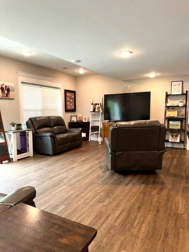 living area featuring wood finished floors