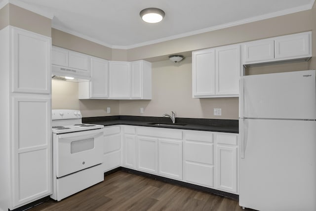 340 Wise Dr, Wilmore, KY 40390 - kitchen with white appliances, under cabinet range hood, a sink, ornamental molding, and dark countertops
