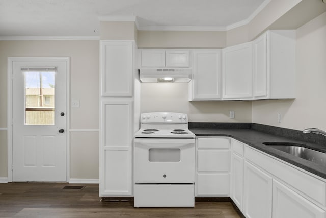 340 Wise Dr, Wilmore, KY 40390 - kitchen with under cabinet range hood, electric range, a sink, white cabinets, and crown molding