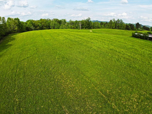 view of undeveloped land