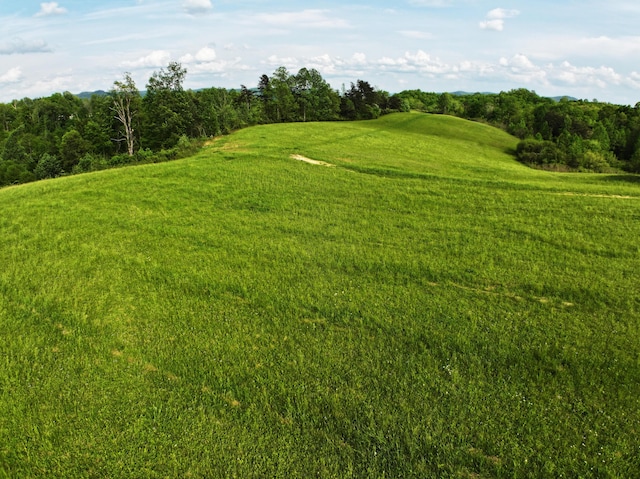view of nature