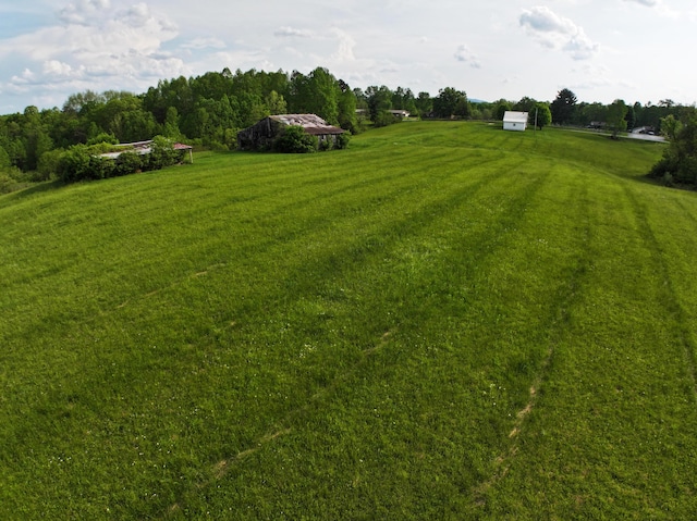 view of green lawn with a rural view
