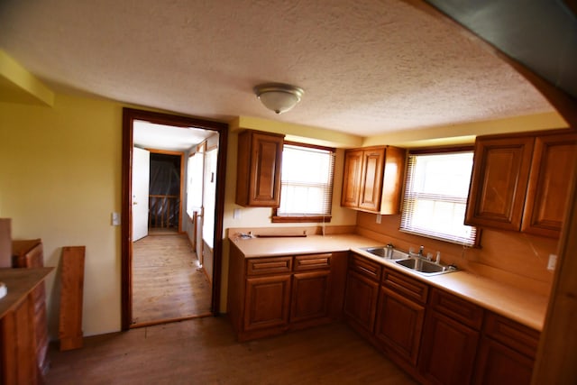 kitchen with a sink, light wood finished floors, light countertops, brown cabinetry, and a textured ceiling